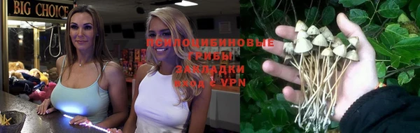 PSILOCYBIN Козельск