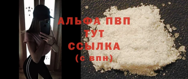 PSILOCYBIN Козельск