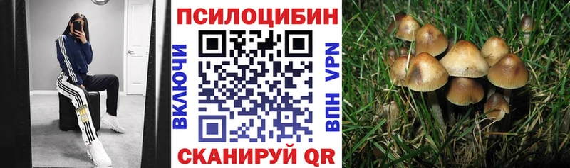 Галлюциногенные грибы ЛСД Новосиль
