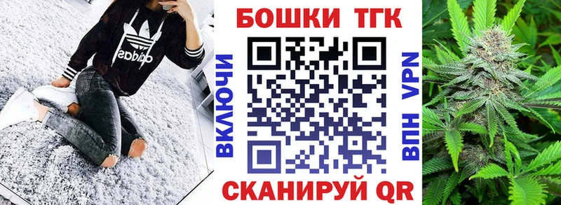 купить закладку  Новосиль  Бошки Шишки сатива 
